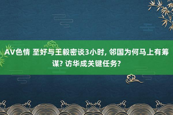 AV色情 至好与王毅密谈3小时， 邻国为何马上有筹谋? 访华成关键任务?