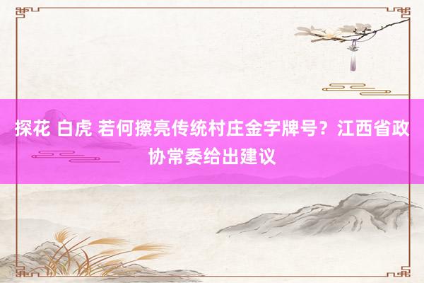 探花 白虎 若何擦亮传统村庄金字牌号？江西省政协常委给出建议