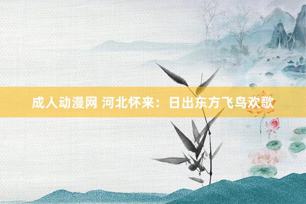 成人动漫网 河北怀来：日出东方飞鸟欢歌