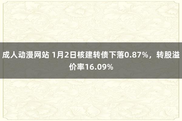 成人动漫网站 1月2日核建转债下落0.87%，转股溢价率16.09%