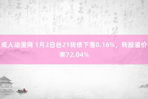 成人动漫网 1月2日台21转债下落0.16%，转股溢价率72.04%