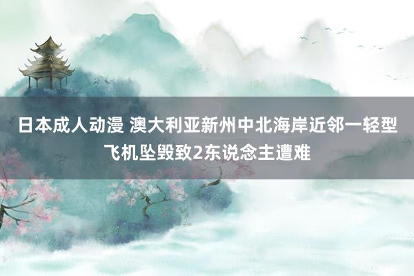 日本成人动漫 澳大利亚新州中北海岸近邻一轻型飞机坠毁致2东说念主遭难