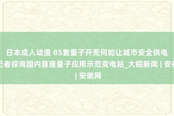 日本成人动漫 85套量子开荒何如让城市安全供电？记者探询国内首座量子应用示范变电站_大皖新闻 | 安徽网