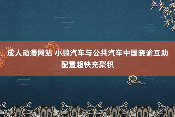 成人动漫网站 小鹏汽车与公共汽车中国晓谕互助配置超快充聚积