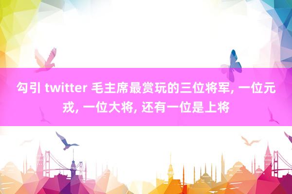 勾引 twitter 毛主席最赏玩的三位将军， 一位元戎， 一位大将， 还有一位是上将